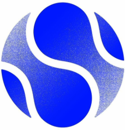 S logo