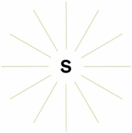 S logo