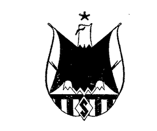 S logo