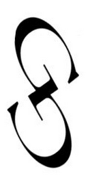 S logo