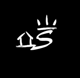 S logo