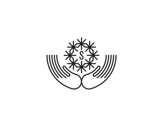 S logo
