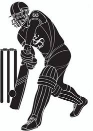 S logo