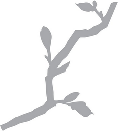 S logo