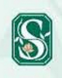 S logo