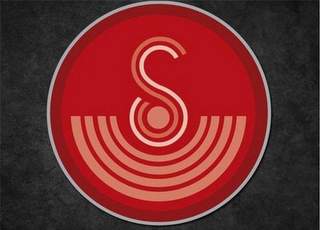 S logo