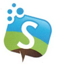 S logo