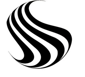 S logo