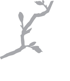 S logo