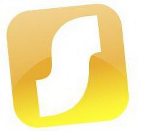 S logo