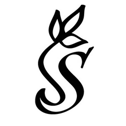 S logo