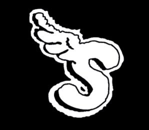 S logo
