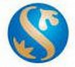 S logo