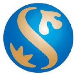 S logo