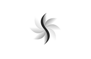 S logo
