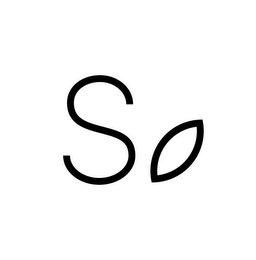 S logo