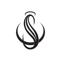 S logo