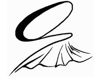 S logo