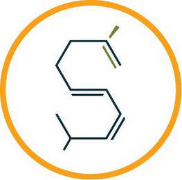 S logo