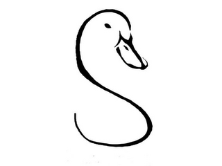 S logo
