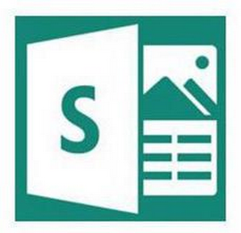 S logo