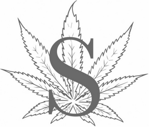 S logo