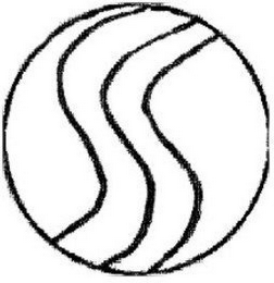 S logo