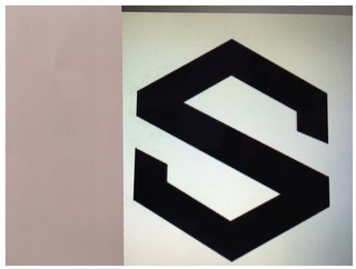 S logo