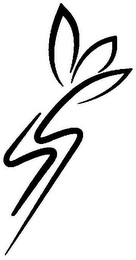 S logo