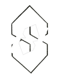 S logo