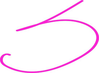 S logo