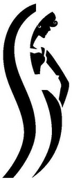 S logo