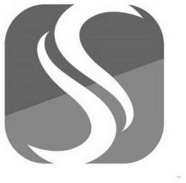 S logo