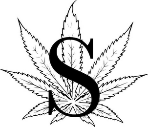S logo