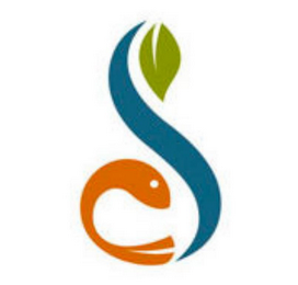 S logo