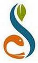 S logo