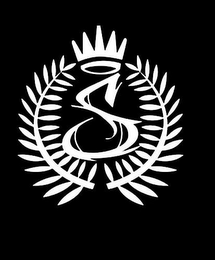 S logo