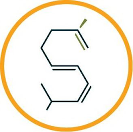 S logo