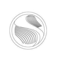 S logo