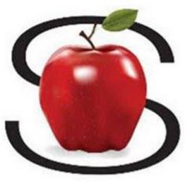 S logo