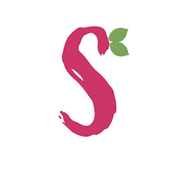 S logo