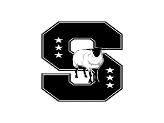 S logo
