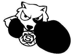 S logo