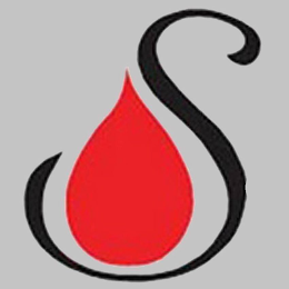 S logo