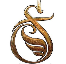 S logo