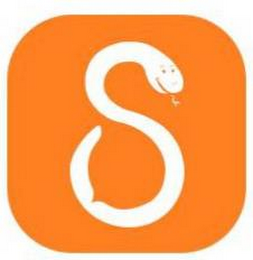S logo