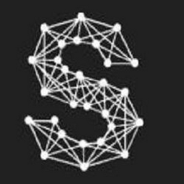 S logo