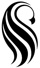 S logo