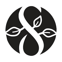 S logo