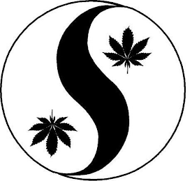 S logo